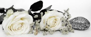 Wedding - Weisse Rosen Hochzeitsfeier mit dem Hochzeitsdj Oberschwaben